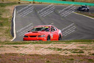 media/Feb-25-2024-Speed Ventures (Sun) [[b9a2a97a4d]]/Mustang Drivers Club/Session 3 (Turn 2)/